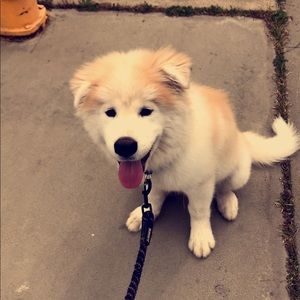 Meet your Posher, Gabby